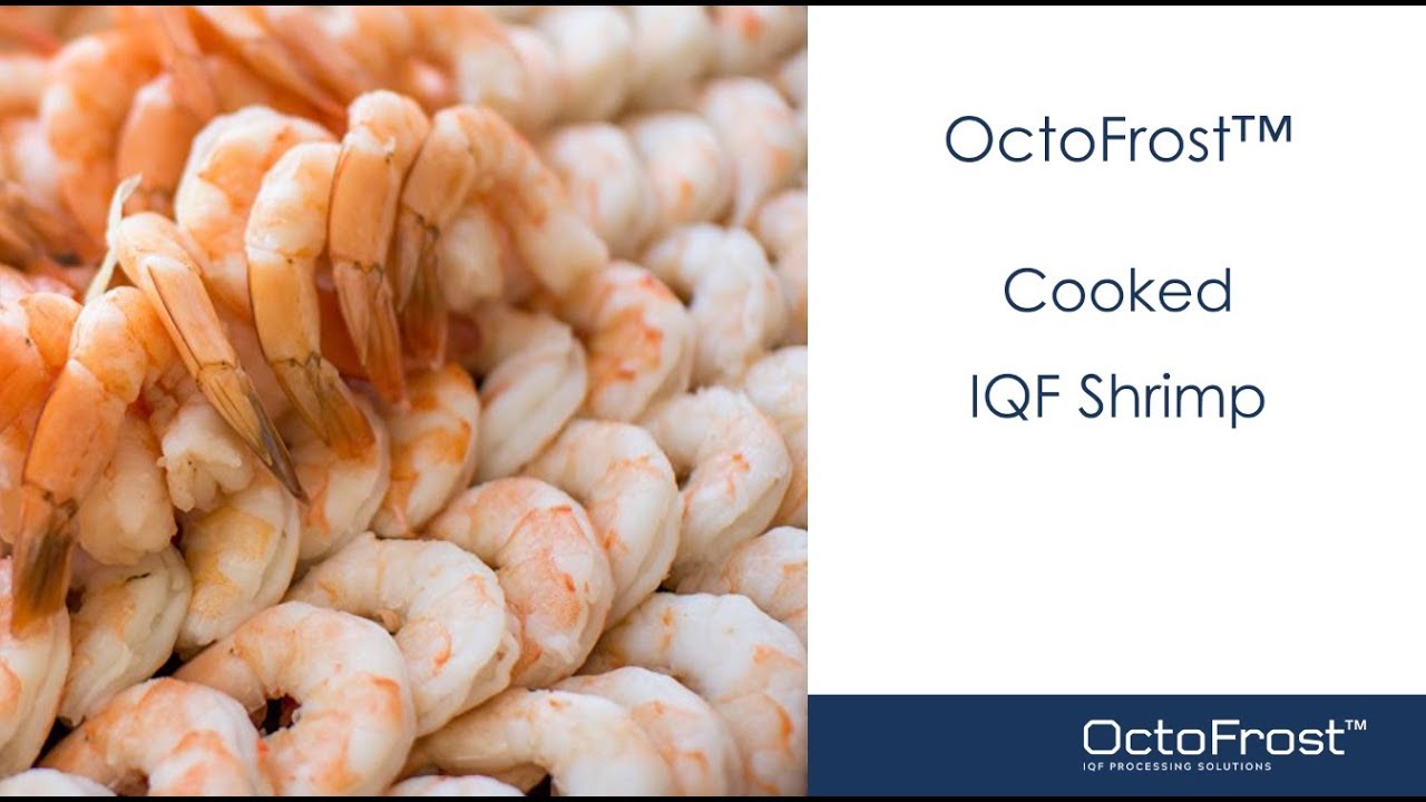 OctoFrost™ IQF Cooked Shrimp Tunnel Freezer