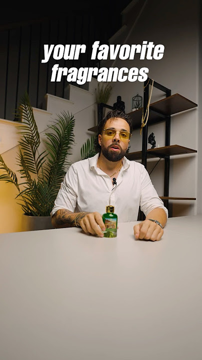 Martha's Vineyard by City Rhythm Review 🪴