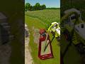 Tractor Driving On The Edge #fs25 #thepichonnierevalley #fiatagri #claasjaguar #claas #silage #maize