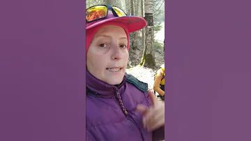 Сжигаем клещей
