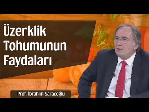 Üzerklik Tohumunun Faydaları | Prof. İbrahim Saraçoğlu