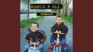 Video thumbnail of "Bigflo & Oli - Dommage (Acoustic)"
