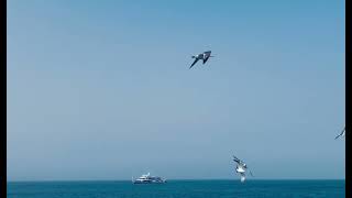 Keep Your Parcel Safe A Delivery Service You Can Depend On Httpswa.me13477088824U.s.mob