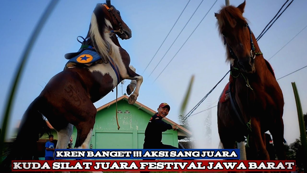 Kuda renggong si raja