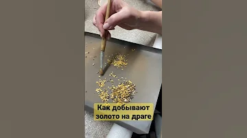 Как добывают золото на драге