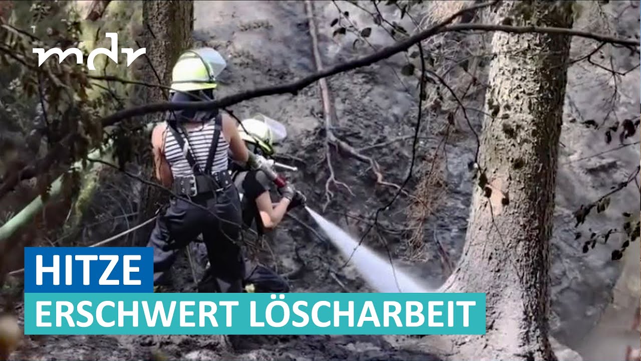 Elbsandsteingebirge: Wetter arbeitet gegen Einsatzkräfte | MDR um Zwei | MDR