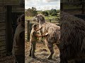 Wait… Why Is she Grooming a Dinosaur on a Farm?! #ai #aidinosaur #aicreature #vfx #cgi #Dinosaurs