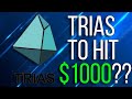 Can trias hit 1000 trias pumping now