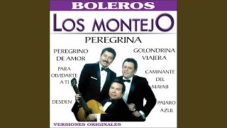 Video thumbnail of "Los Montejo - Para Olvidarte a Ti"