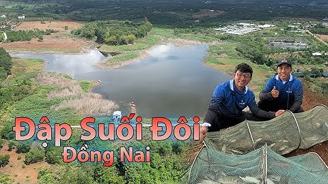 Câu Đài Thiên Nhiên | Câu cá rô phi đập Suối Đôi, Đồng Nai - Bột tôm Khó Chịu