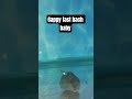 gappy ke fast bach ke baby 👶 #music #shortsviral #fish #entertainment_adda01 #newreel #viralreels