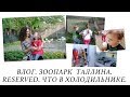 ВЛОГ. ЗООПАРК ТАЛЛИНА. ПОСЫЛКА RESERVED. ЧТО В МОЕМ ХОЛОДИЛЬНИКЕ .