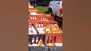 Blackboard Mobile Learn (Android) - Making a Blog Post