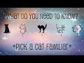 What Do You Need To Know? ~ Messages From The Cat Familiars ~ Pick A Cat