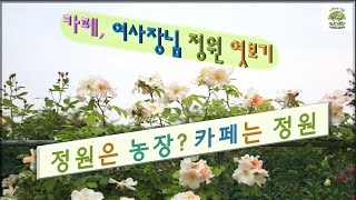 카페 여사장님 정원 엿보기, 정원은 농장, 카페는 정원, 장미 품종 알아보기