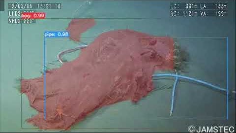 Deep Sea Trash Detection with Artificial Intelligence (YOLACT)