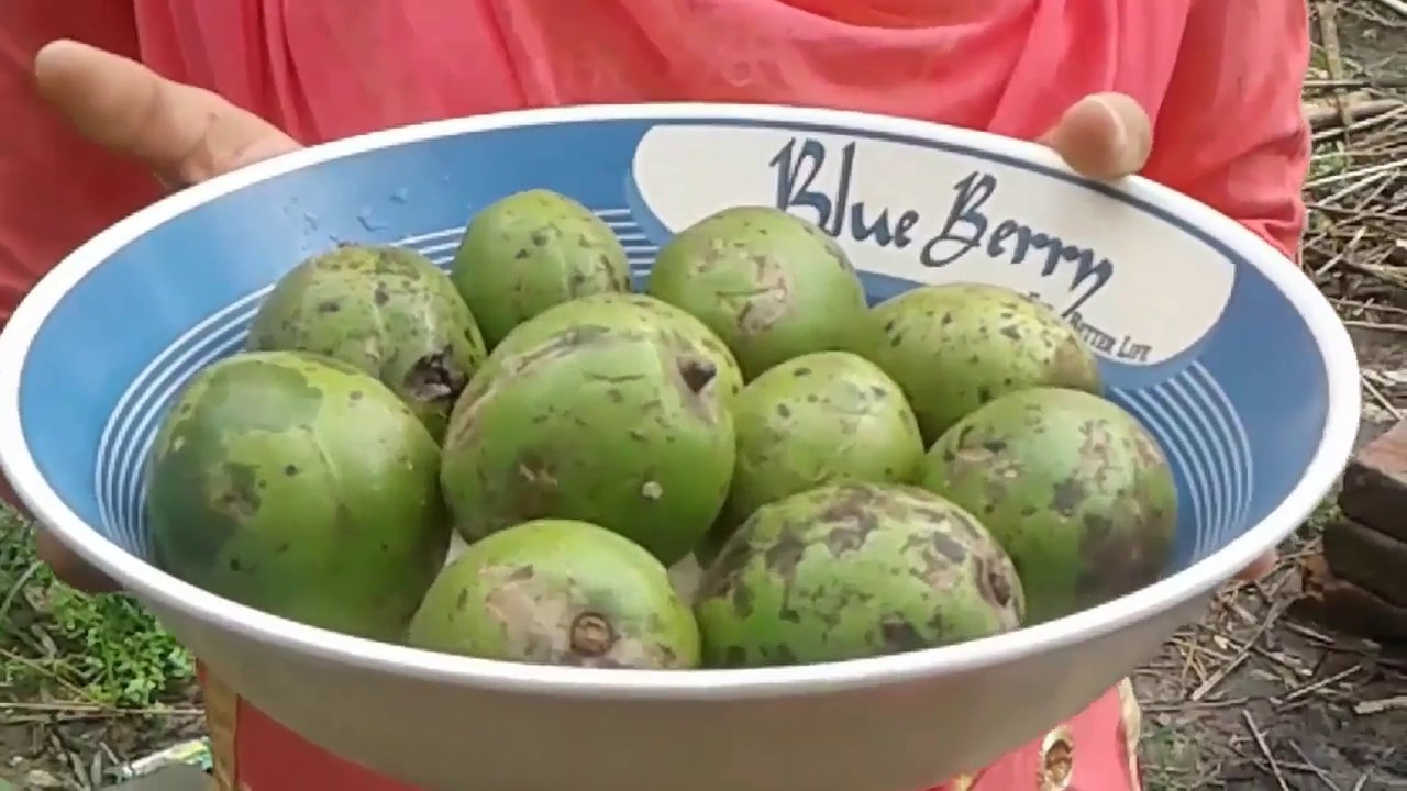 June Plum Chutney Recipe Amrar (Amda) Jhal Misti Achar Bengali