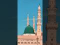 allah to bas ek ko milna tha mil gaya 🫀💕🕋#shortvideo #greenscreen #beautiful #shorts #shortsfeed