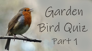 Guess the Bird from its Song or Call | Garden Bird Quiz Part 1
