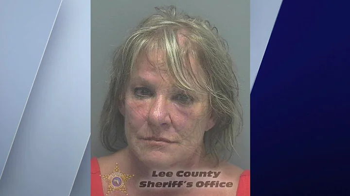 McHenry woman arrested, accused of 'brutal' murder...
