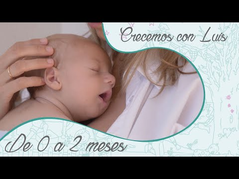 Papitos primerizos - Cómo ESTIMULAR BEBÉS de 0 a 3 MESES 👶🏼💦⁣⁣⠀⠀⠀⠀⠀⠀⠀⠀⠀  ⁣⁣⁣⠀⠀⠀⠀⠀⠀⠀⠀⠀ ⁣⁣La estimulación del recién nacido empieza en el día del  parto, cuando oye la voz de mamá y siente