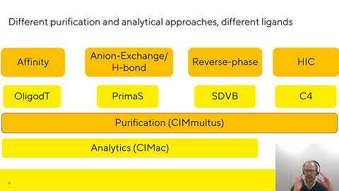 mRNA manufacturing platform using CIMmultus® and CIMac® technology with rapid HPLC analytics