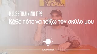 Κάθε πότε να ταΐζω τον σκύλο μου | House Training Tips