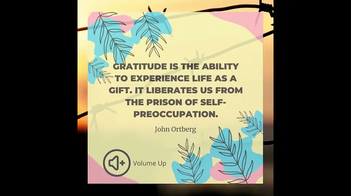 The Voiced Gratitude Project - Chris Palmore