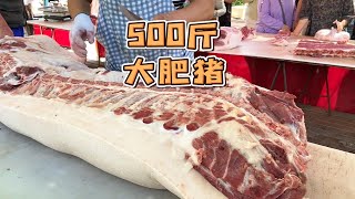 Download Lagu 農村大肥豬太受歡迎了,500公斤大黑豬腰圍2公尺粗,一片板油就10公斤,華哥都說罕見【玖叔vlog】#pork #猪肉 #玖叔vlog#华哥猪肉#玖叔猪肉#豬肉 MP3 Download Lagu 農村大肥豬太受歡迎了,500公斤大黑豬腰圍2公尺粗,一片板油就10公斤,華哥都說罕見【玖叔vlog】#pork #猪肉 #玖叔vlog#华哥猪肉#玖叔猪肉#豬肉 MP3