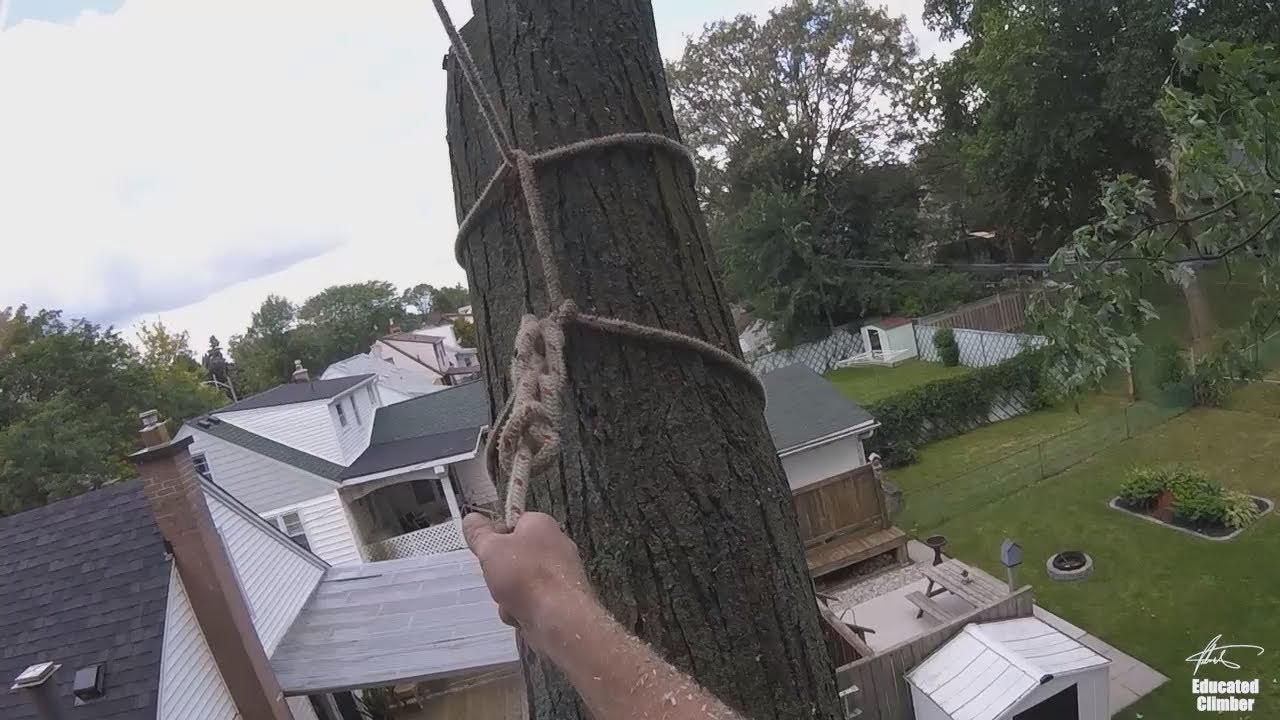Half Hitch on a spar, rigging in trees