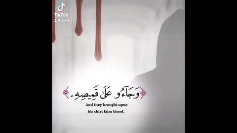 مشاري فالح - سورة يوسف