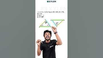 Angle കണ്ടുപിടിക്കാം !! | Xylem Class 8
