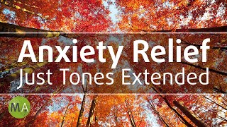 Anxiety and Panic Attack Relief  Isochronic Tones Extended Version