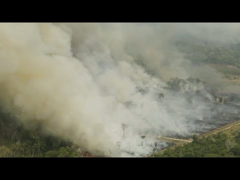 GUERREIROS DO FOGO EVITAM DESASTRE AMBIENTAL EM FAZENDA CENTENÁRIA DO PANTANAL