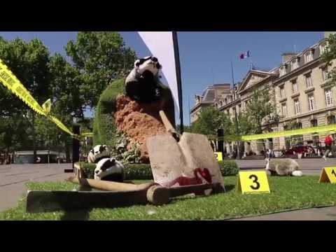 la voz Déterrage de blaireaux en plein Paris !