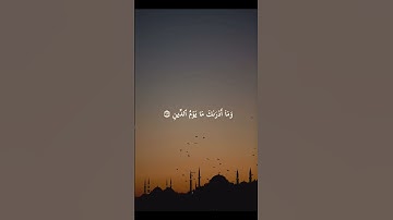 ما تيسر من سورة الإنفطار للقارئ : ياسر الدوسري ❤️🎧
