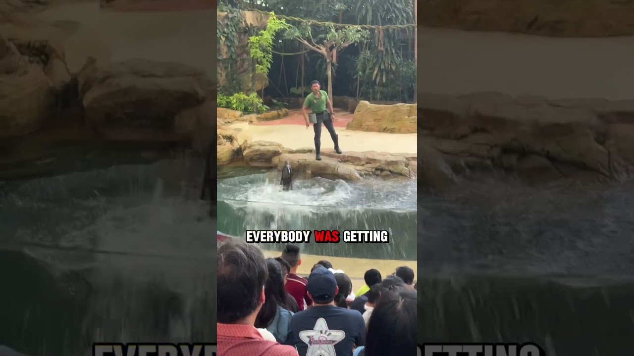 Bet you didn’t pack this!