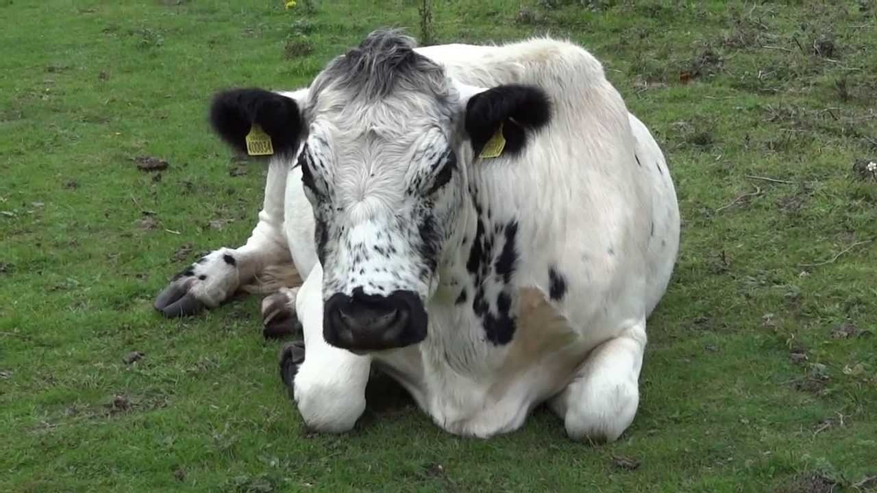 Litlington - 09 Oct 2011