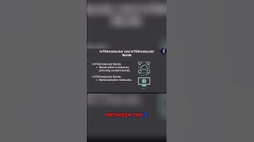 The Connection Between Internet and Intranet Explained