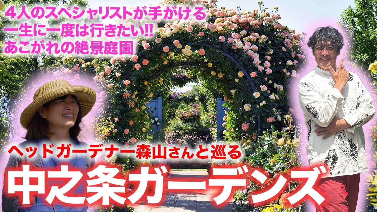 Rose Garden] An exquisitely beautiful garden created by Japan's