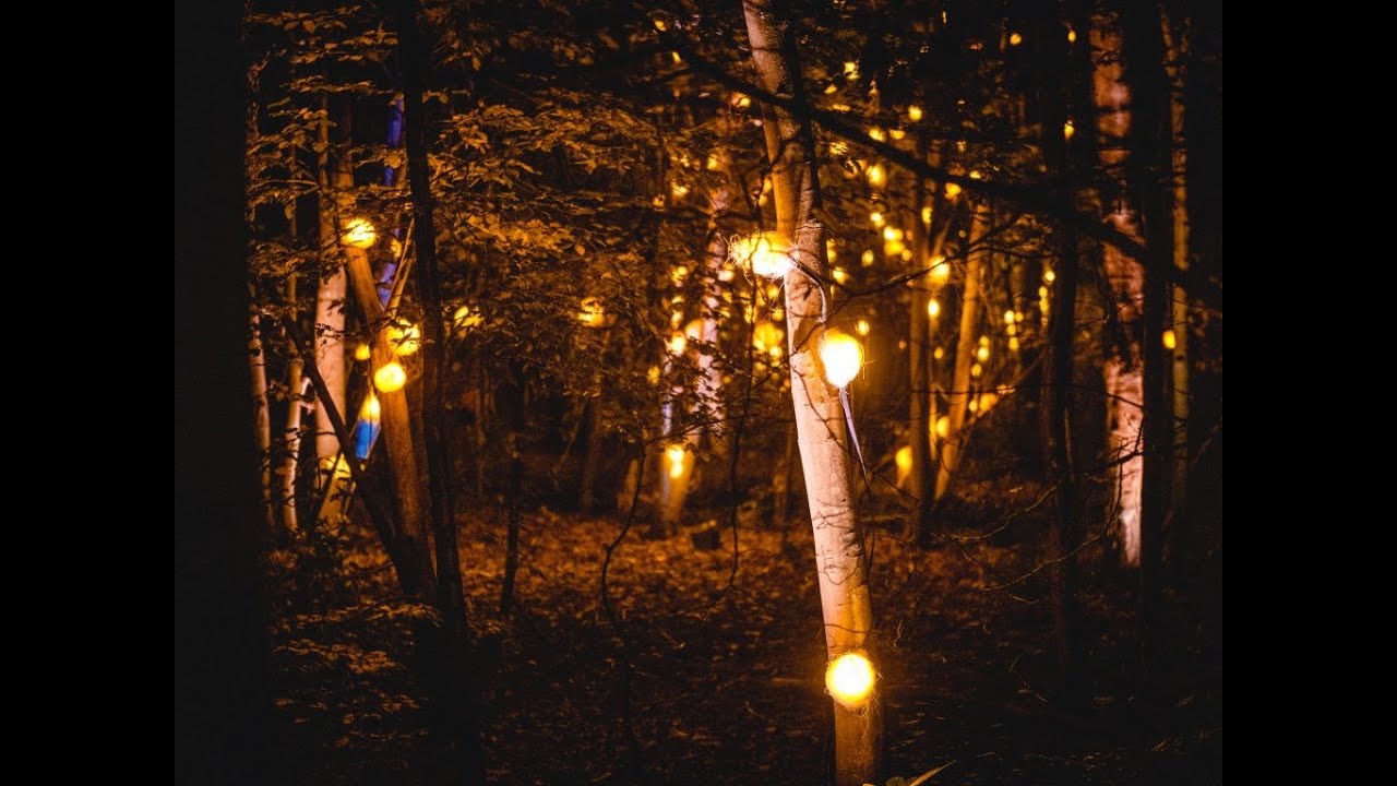 Magical Forest Light Show in Rotterdam | De Grote Schijn: The Great Shine Experience | 2023