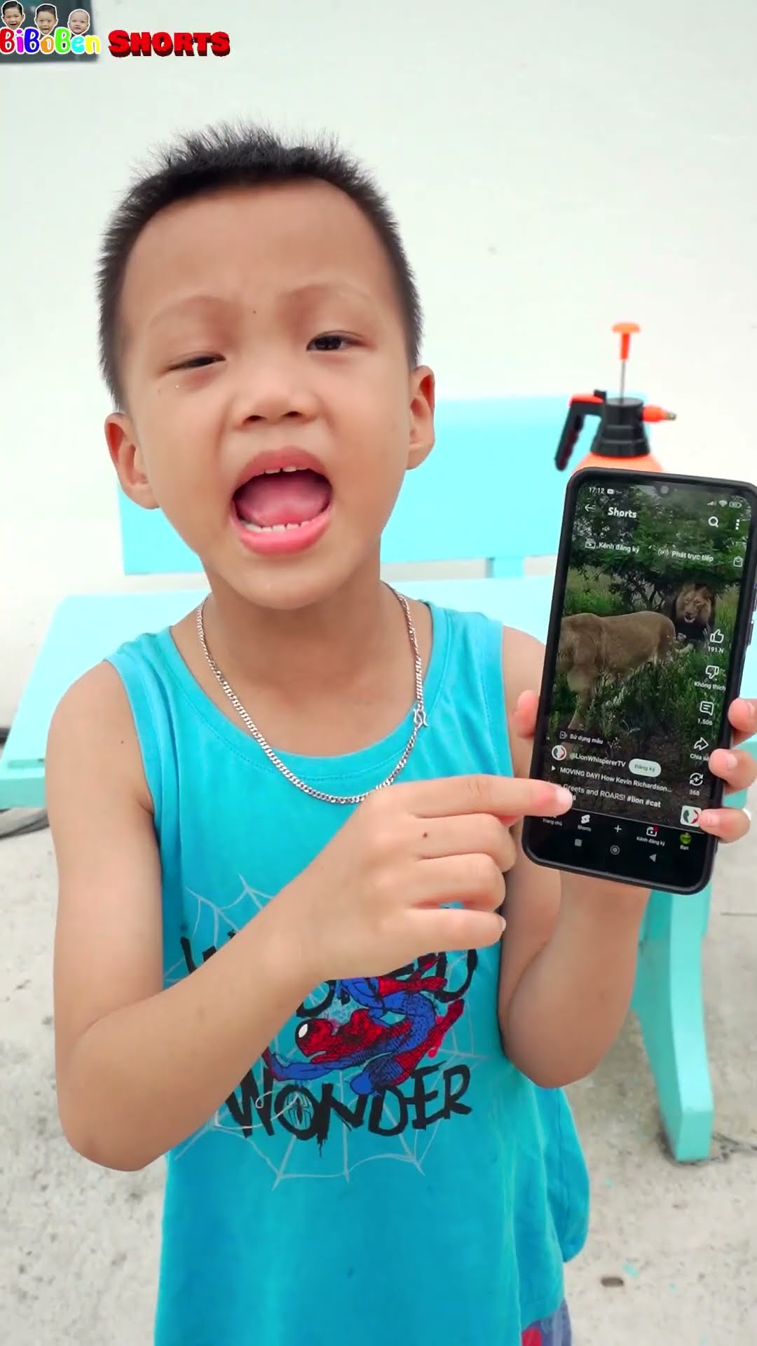 BiBoBen Shorts | Omg Lion