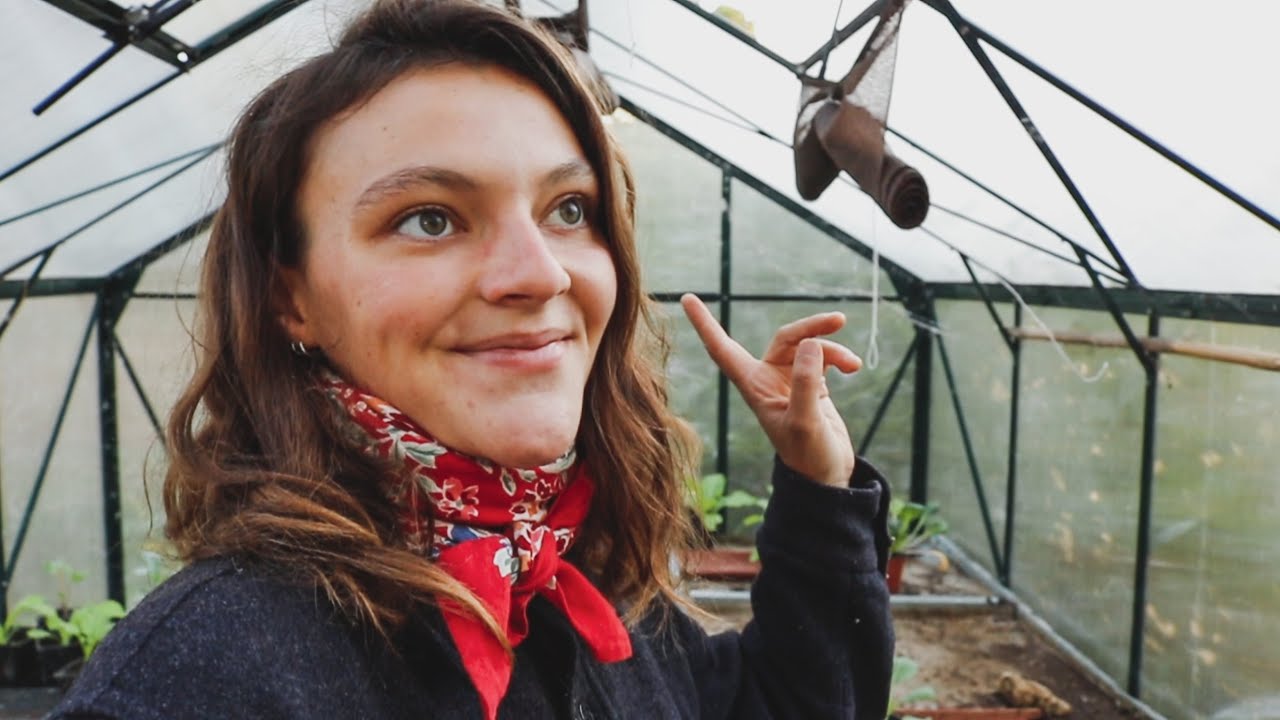 Una Mañana en la Finca - Cómo Están los Pavos, Patos, Lombrices... - Planes e Ideas