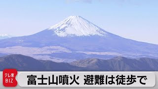 富士山噴火 避難計画中間報告 避難は原則徒歩で（2022年3月30日）