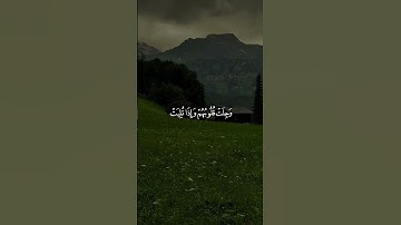 #القرآن_الكريم #quran #راحة_نفسية #الرحمن #القارئ #المصحف