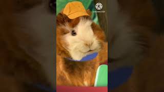 Showing The Wonder Pets How I Pull