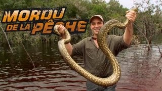 Cyril capture un anaconda voleur de poissons! - Mordu de la Pêche avec Cyril Chauquet