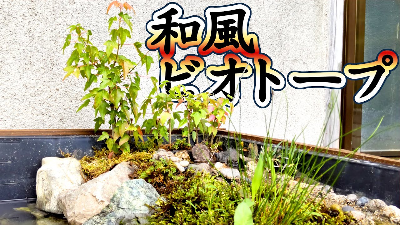 和風感漂うオシャレなビオトープに植林 生体導入 後編 小川が流れる和風な風景を目指す Youtube