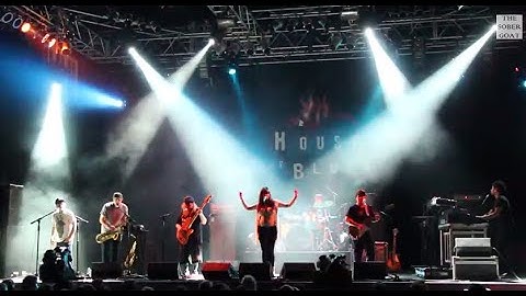 Lettuce w/ Alecia Chakour "Don