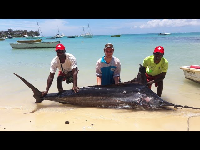 Marlin Fishing Mauritius - 168.1kg Blue Marlin 